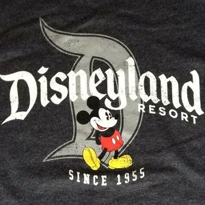 Disney Parks Tag-less Disneyland Hanes Short Sleeve Dark Gray T Shirt S/P/CH